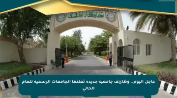 عاجل اليوم.. وظائف جامعية جديدة تعلنها الجامعات الرسمية للعام الحالي